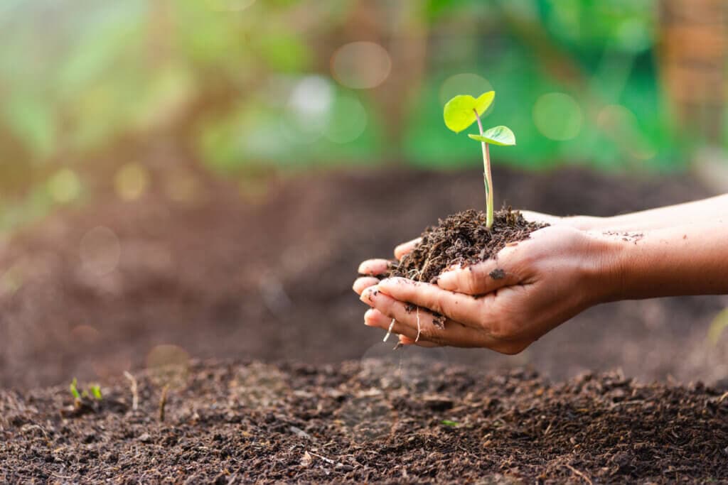 Sustentabilidade na Indústria